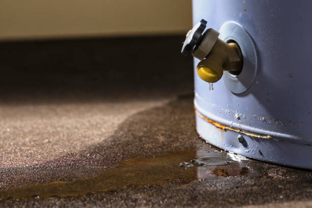 Best Water damage restoration mold remediation  in Lawtey, FL
