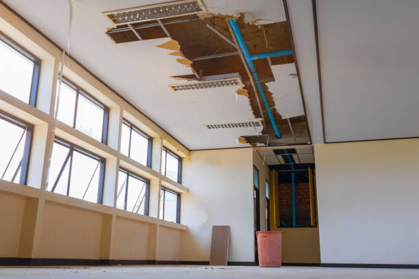 Best Flood damage cleanup  in Lawtey, FL