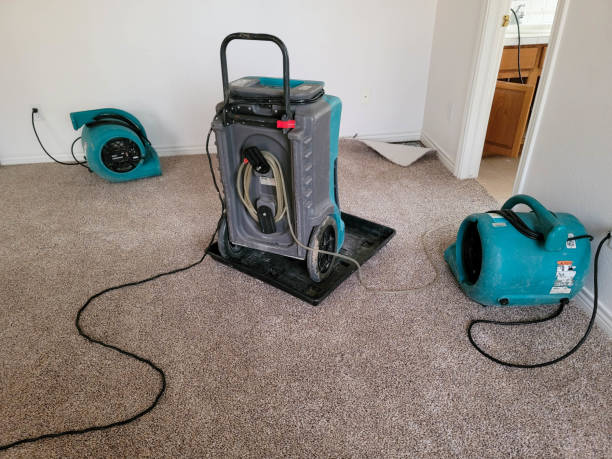 Best Fire Damage Restoration  in Lawtey, FL
