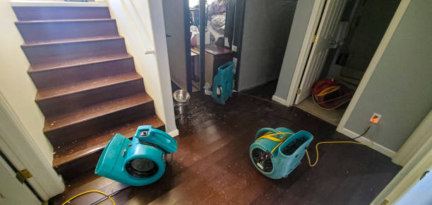 Best Professional water damage repair  in Lawtey, FL