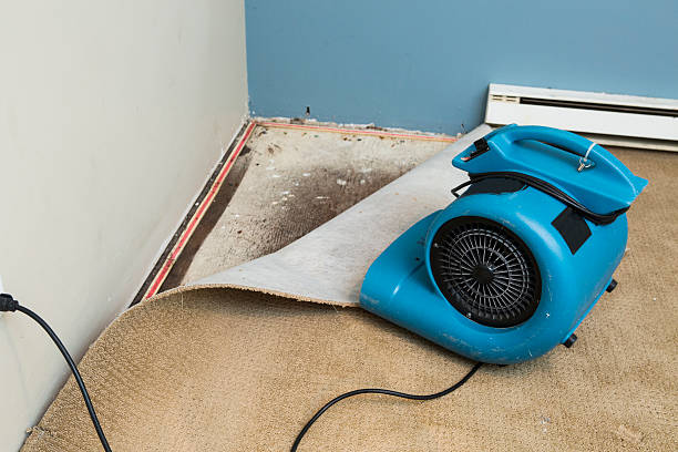 Best Residential water damage restoration  in Lawtey, FL